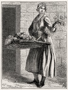 Daily Life in France by Unknown